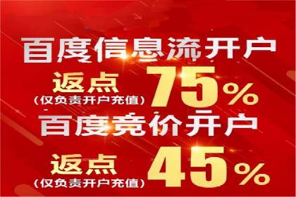 成功企业SEM竞价代运营案例研究